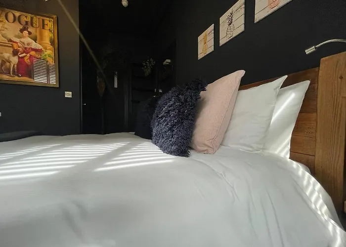 Salt Life Studio